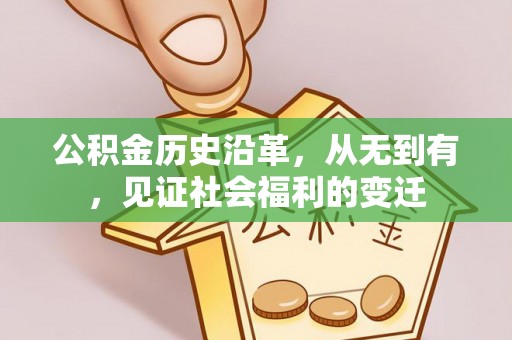 岱岳公积金历史沿革，从无到有，见证社会福利的变迁