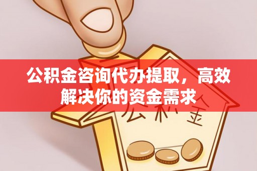岱岳公积金咨询代办提取，高效解决你的资金需求