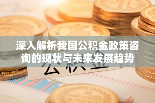 岱岳深入解析我国公积金政策咨询的现状与未来发展趋势