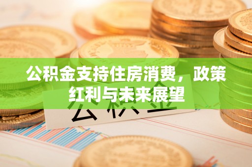 岱岳公积金支持住房消费，政策红利与未来展望