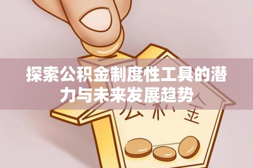 岱岳探索公积金制度性工具的潜力与未来发展趋势
