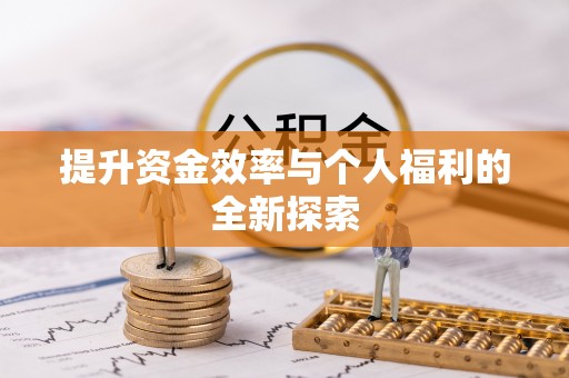 岱岳提升资金效率与个人福利的全新探索