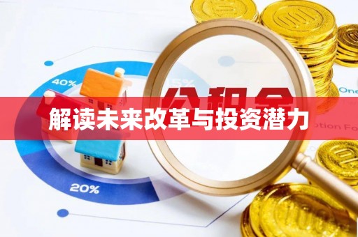 岱岳解读未来改革与投资潜力