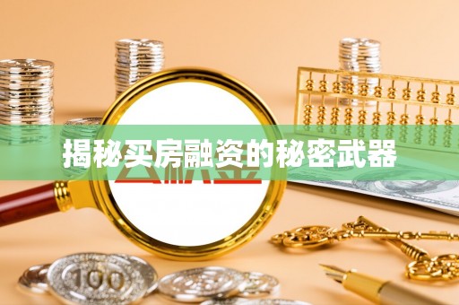 岱岳揭秘买房融资的秘密武器