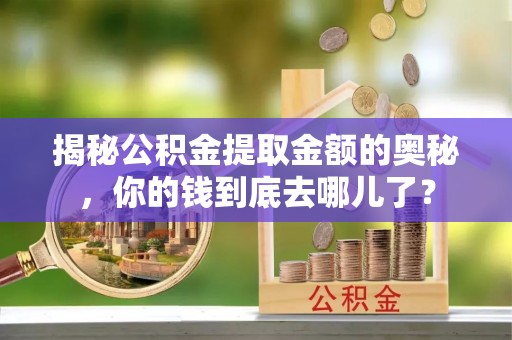 岱岳揭秘公积金提取金额的奥秘，你的钱到底去哪儿了？