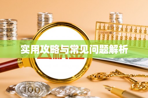 岱岳实用攻略与常见问题解析
