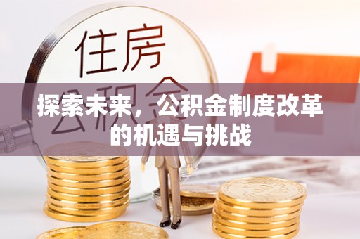 岱岳探索未来，公积金制度改革的机遇与挑战