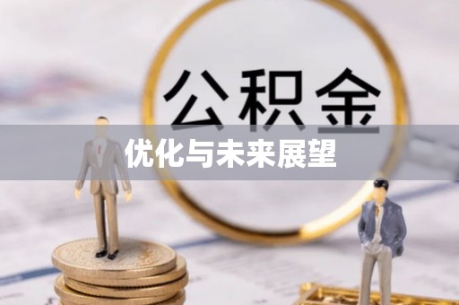 岱岳优化与未来展望