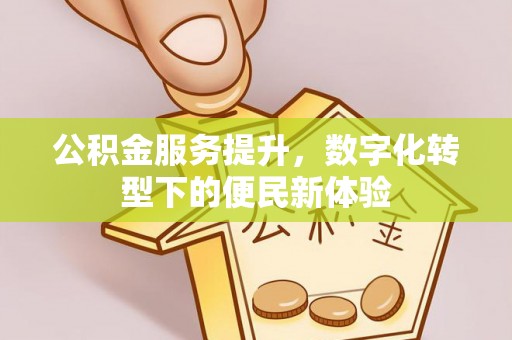 岱岳公积金服务提升，数字化转型下的便民新体验