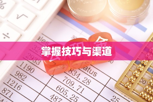 岱岳掌握技巧与渠道