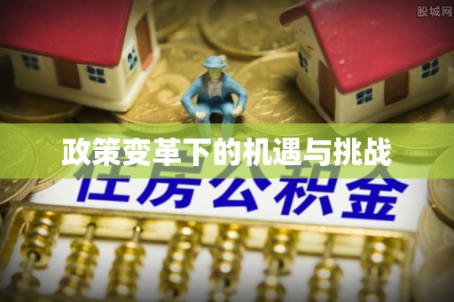 岱岳政策变革下的机遇与挑战
