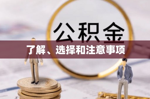 岱岳了解、选择和注意事项