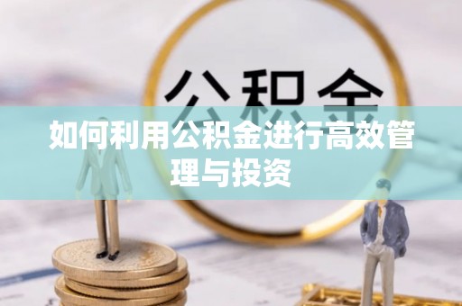 岱岳如何利用公积金进行高效管理与投资