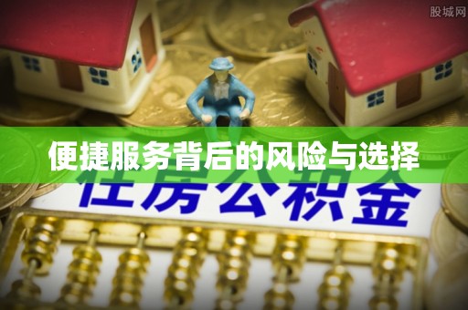岱岳便捷服务背后的风险与选择