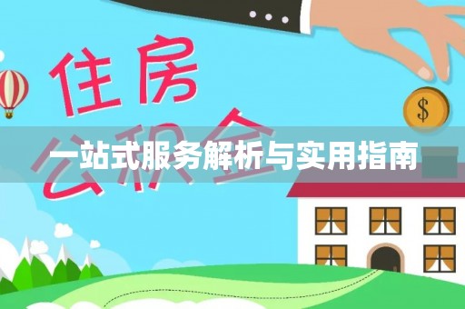 岱岳一站式服务解析与实用指南