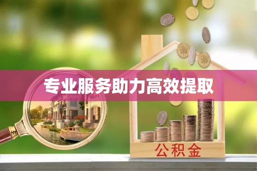 岱岳专业服务助力高效提取