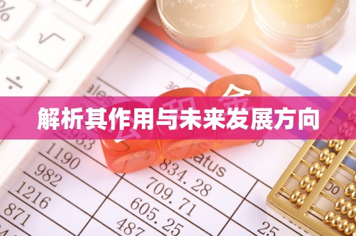 岱岳解析其作用与未来发展方向