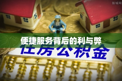 岱岳便捷服务背后的利与弊