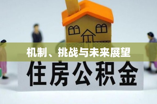 岱岳机制、挑战与未来展望