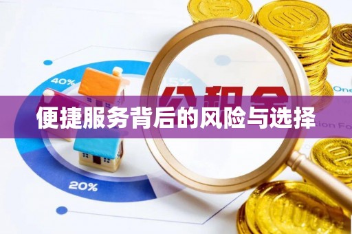 岱岳便捷服务背后的风险与选择