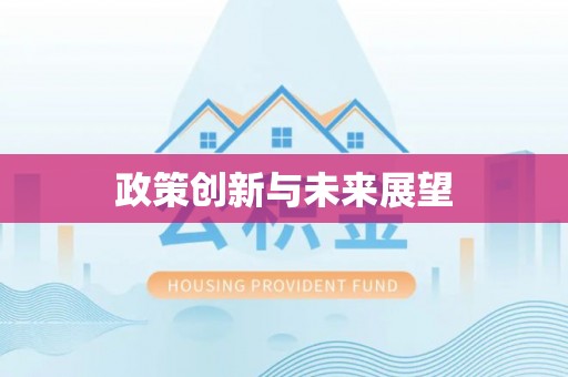 岱岳政策创新与未来展望