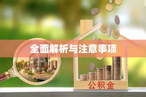岱岳全面解析与注意事项