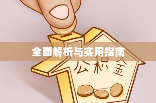 岱岳全面解析与实用指南