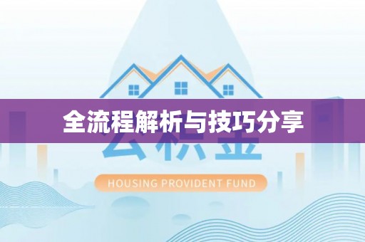 岱岳全流程解析与技巧分享